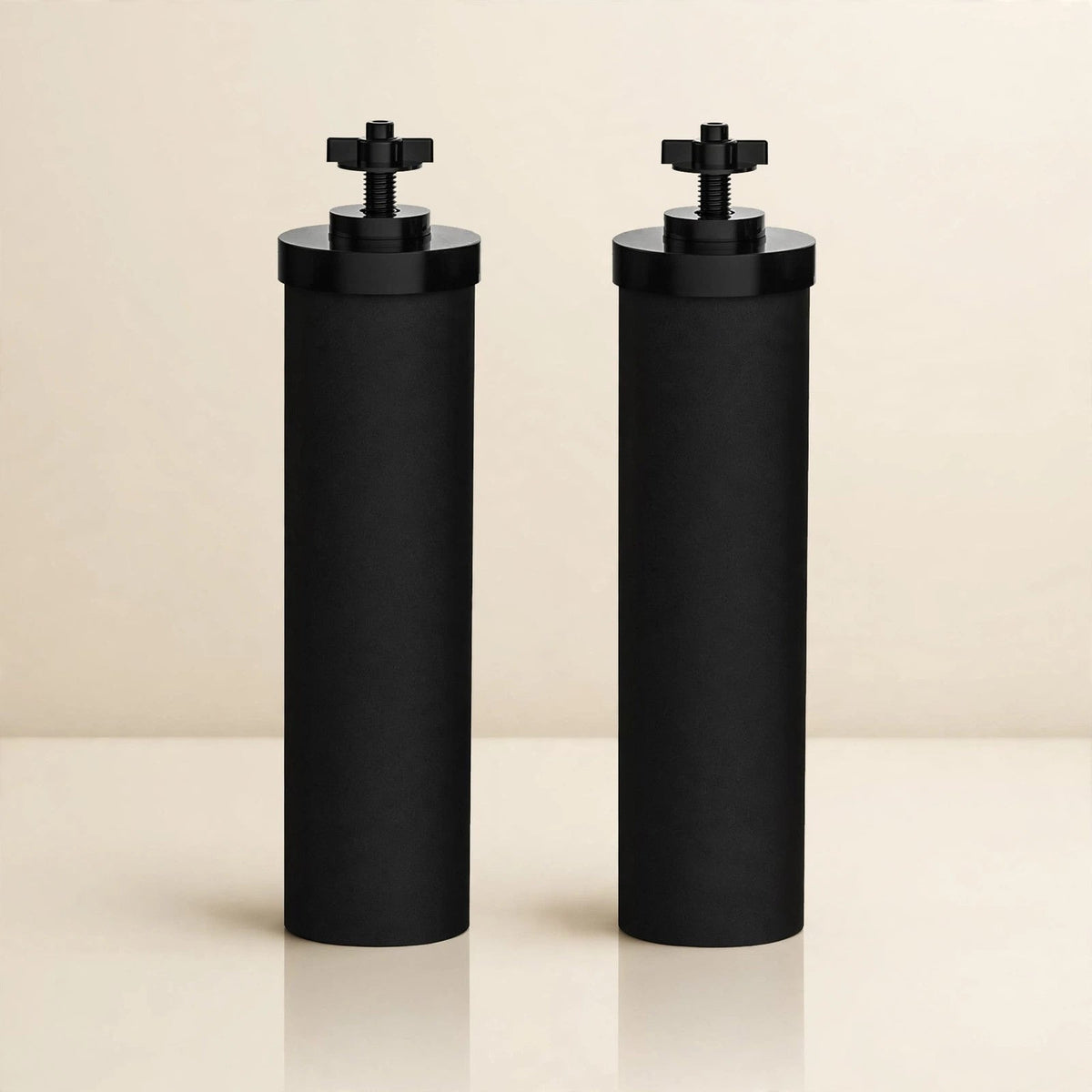 Black Berkey-Style Water Purification Elements – 2-Pack – view 3